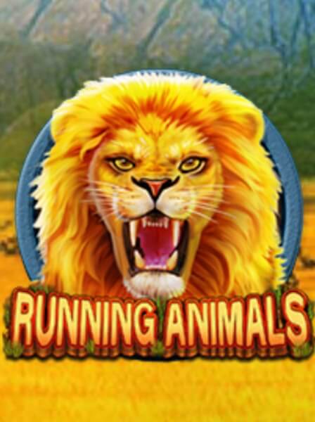 RoyalFlush Poker Hub – Nơi Hội Tụ Cao Thủ Poker